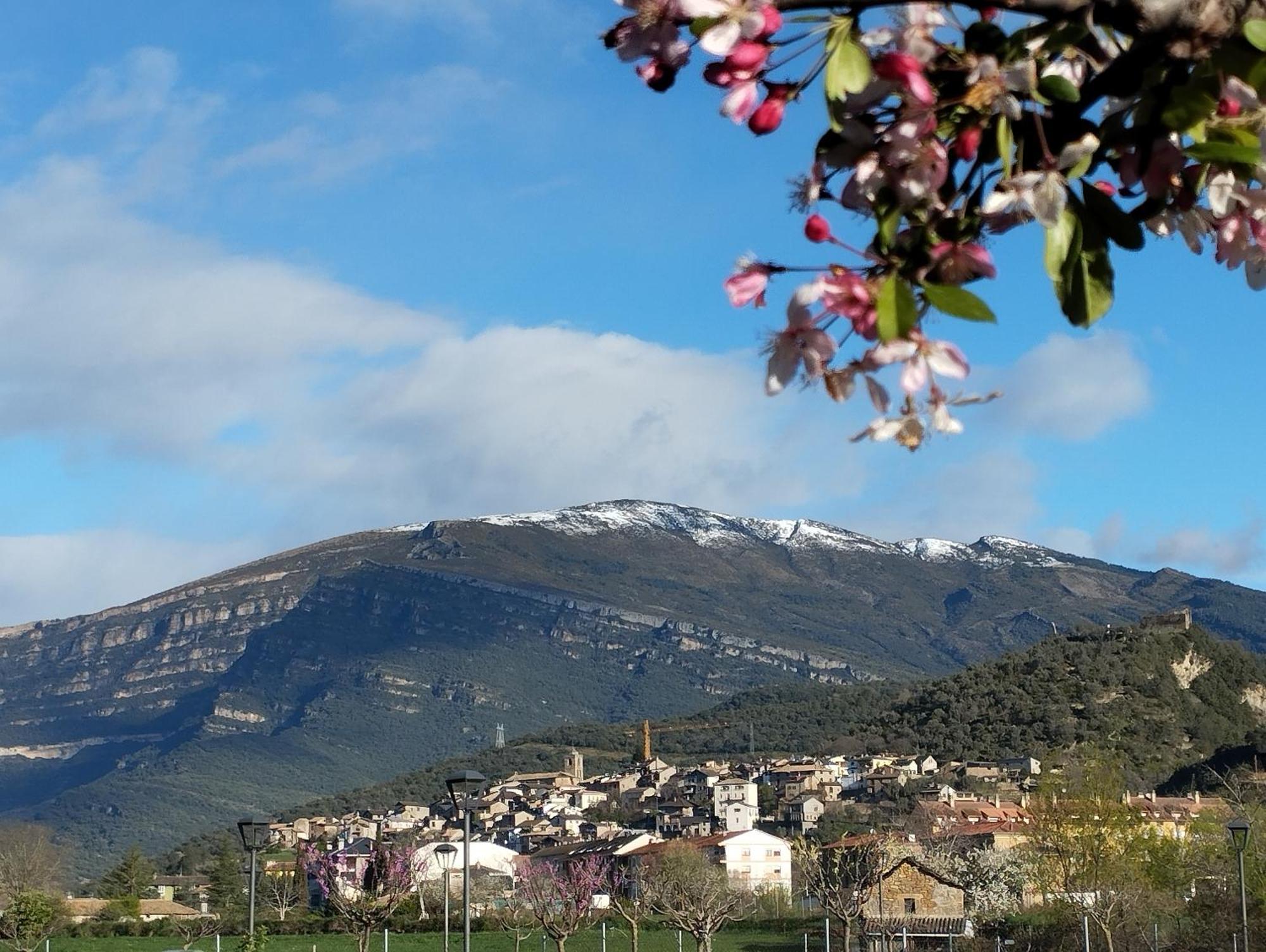 Gorga-ordesa, En Boltana